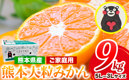 みかん 訳あり 大玉 大粒 ミカン 9kg 熊本 ちょっと 訳あり 傷 5L～3Lサイズ たっぷり 熊本県産(荒尾市産含む) 熊本県 期間限定 フルーツ 旬 柑橘 ご家庭用 荒尾市 大粒《2025年1月中旬-2月末頃より出荷予定》果物 美味しいみかん 旬のみかん ジューシーみかん フルーツみかん