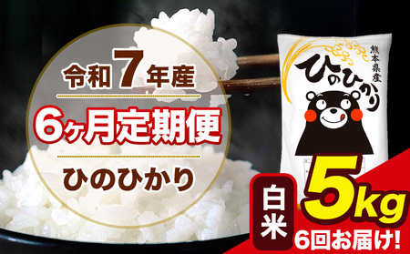 令和7年産  【6ヶ月定期便】 ひのひかり白米 5kg 5kg×1袋 計6回お届け 熊本県産 こめ コメ 白米 精米 荒尾市 ひの 米 定期 《お申込み翌月から出荷》 美味しい米 お米 熊本県産米 くまもと米