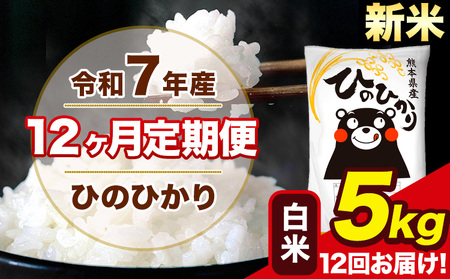 新米 令和7年産  【12ヶ月定期便】 ひのひかり 白米 5kg 5kg×1袋 計12回お届け 熊本県産 こめ コメ 白米 精米 荒尾市 ひの 米 定期 《お申込み翌月から出荷》 美味しい米 お米 熊本県産米 くまもと米