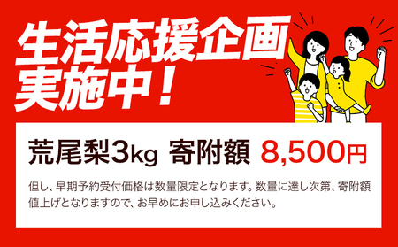 【2025年 先行予約】梨 荒尾梨 約3kg なし フルーツ 果物 旬 《2025年8月下旬‐11月中旬頃出荷》訳あり 熊本県 荒尾市産 デザート 旬の梨 幸水 豊水 あきづき 他4種 合計7種のいずれかをお届け（品種指定はできません）