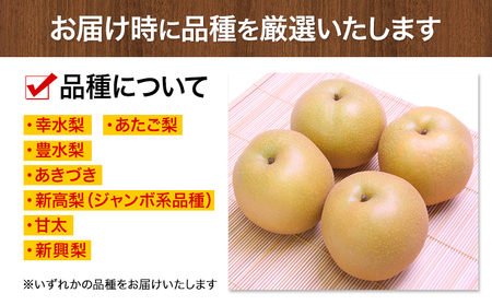 【2025年 先行予約】梨 荒尾梨 約3kg なし フルーツ 果物 旬 《2025年8月下旬‐11月中旬頃出荷》訳あり 熊本県 荒尾市産 デザート 旬の梨 幸水 豊水 あきづき 他4種 合計7種のいずれかをお届け（品種指定はできません）