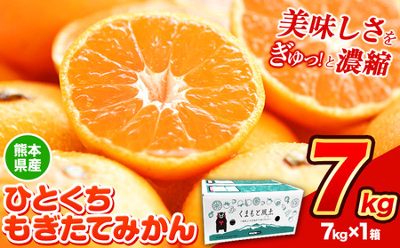 訳あり みかん ひとくちもぎたてみかん 約 7kg (7kg×1箱) S-3Sサイズ 《7-14日以内に出荷予定(土日祝除く)》みかん 訳ありみかん 熊本県産みかん 大容量