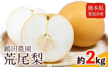 【先行予約】梨 鶴田農園 梨予約 豊水 あきづき 甘太 のいずれかお届け 約2kg 5～6玉 【日付指定不可】 熊本県 荒尾市産 和梨 《8月下旬-9月下旬頃出荷》 6,570円