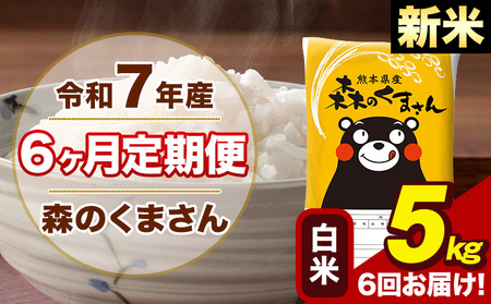 令和7年産 新米【6ヶ月定期便】森のくまさん 白米 5kg 5kg×1袋 計6回お届け《1月から出荷開始》 お米 こめ 熊本県産 ご飯 備蓄