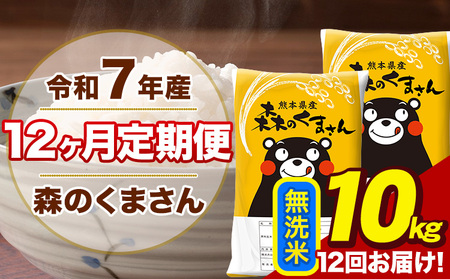 令和7年産 【12ヶ月定期便】森のくまさん 無洗米 10kg 5kg×2袋 計12回お届け《お申込み翌月から出荷》 お米 こめ 熊本県産 ご飯 備蓄
