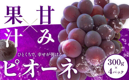 先行予約 ピオーネ 300g×4パック 約1.2kg パックのみ 日本フルーツ株式会社《7月下旬-8月末頃出荷》熊本県 荒尾市 ぶどう ピオーネ 果物 フルーツ スイーツ デザート ギフト ご贈答 6,300円