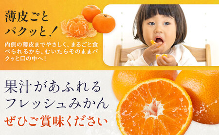 温州みかん 約3kg 日本フルーツ株式会社 熊本県 荒尾市 《10月中旬-2月下旬頃出荷予定》 デコポン 果物 秀品 フルーツ スイーツ デザート ギフト ご贈答