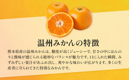 温州みかん 約10kg 日本フルーツ株式会社 熊本県 荒尾市 《10月中旬-2月下旬頃出荷予定》 デコポン 果物 秀品 フルーツ スイーツ デザート ギフト ご贈答