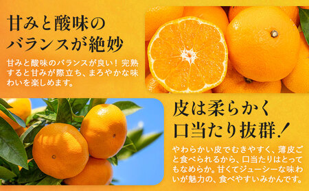 温州みかん 約10kg 日本フルーツ株式会社 熊本県 荒尾市 《10月中旬-2月下旬頃出荷予定》 デコポン 果物 秀品 フルーツ スイーツ デザート ギフト ご贈答