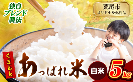 熊本県産 くまもとあっぱれ米 5kg 熊本県産 ふるさと納税 白米 精米 米 こめ ふるさとのうぜい コメ お米 おこめ《12月中旬-2月末頃出荷》