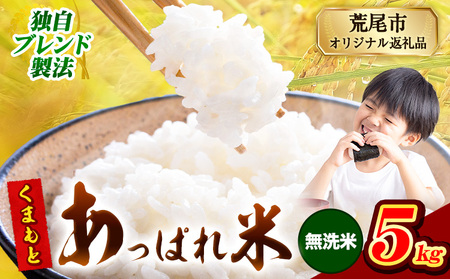 熊本県産 くまもとあっぱれ米 5kg 熊本県産 ふるさと納税 無洗米 精米 米 こめ ふるさとのうぜい コメ お米 おこめ《7-14日以内に出荷予定(土日祝除く)》