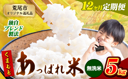 【12ヶ月定期便】 熊本県産 くまもとあっぱれ米 5kg  熊本県産 ふるさと納税 無洗米 精米 米 こめ ふるさとのうぜい コメ お米 おこめ《お申込み翌月から出荷》