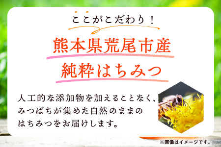 はぜはちみつ 160g×2個 320g 蜂蜜 国産 熊本県荒尾市産 純粋蜂蜜 木原養蜂園《30日以内に出荷予定(土日祝除く)》 st-p