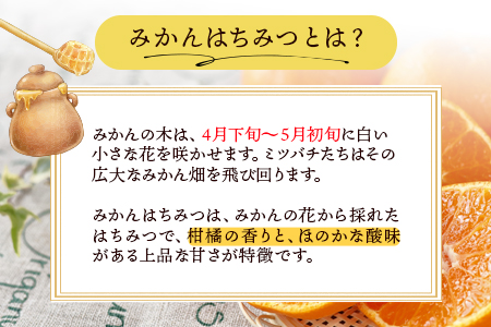 はちみつ 蜂蜜 みかんはちみつ 400g ミカン 蜜柑 蜂蜜 熊本県荒尾市産 純粋蜂蜜 木原養蜂園《30日以内に出荷予定(土日祝除く)》