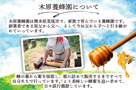 はちみつ 蜂蜜 みかんはちみつ 400g ミカン 蜜柑 蜂蜜 熊本県荒尾市産 純粋蜂蜜 木原養蜂園《30日以内に出荷予定(土日祝除く)》