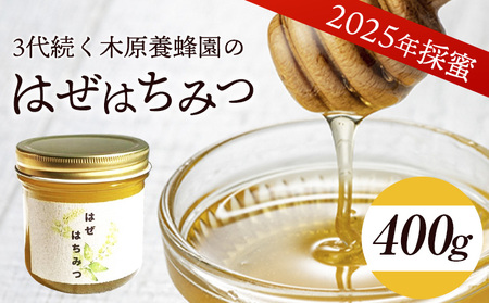 はちみつ 蜂蜜 はぜはちみつ 400g 蜂蜜 国産 熊本県荒尾市産 純粋蜂蜜 木原養蜂園《30日以内に出荷予定(土日祝除く)》 st-p