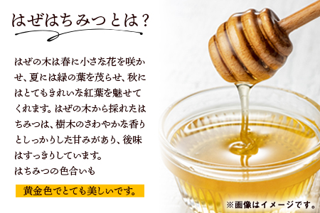 はちみつ 蜂蜜 はぜはちみつ 400g 蜂蜜 国産 熊本県荒尾市産 純粋蜂蜜 木原養蜂園《30日以内に出荷予定(土日祝除く)》 st-p