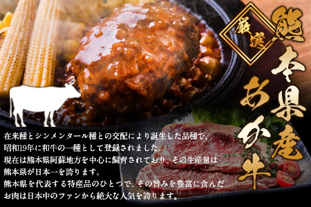 ステーキマニア監修 熊本県産 あか牛 100% 生ハンバーグ 140g×13個入り 合計1820g 《2026年1月中旬-3月末頃出荷》熊本県産あか牛 バイキングベーカリー 冷凍 ハンバーグ 美味しいハンバーグ ジューシーハンバーグ 冷凍ハンバーグ おかずハンバーグ
