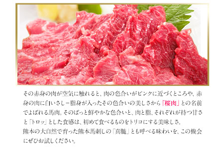 馬刺し 上赤身 ブロック 国産 熊本肥育 冷凍 生食用 たれ付き(10ml×6袋) 100g×6セット 肉 期間限定 絶品  馬肉 予約 平成27年28年 農林水産大臣賞受賞 熊本県荒尾市《7月中旬-9月末頃出荷》 美味しい馬刺し 熊本馬刺し くまもと馬刺し 特産馬刺し