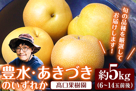 【2025年 先行予約】旬の梨 あきづき 豊水 のいずれかをお届けします！ 約5kg (6～14玉前後) 熊本県荒尾市産 髙口果樹園《2025年9月上旬-9月下旬頃出荷》フルーツ 果物 2024年出荷 美味しい梨 旬の梨 ジューシー梨 フルーツ梨