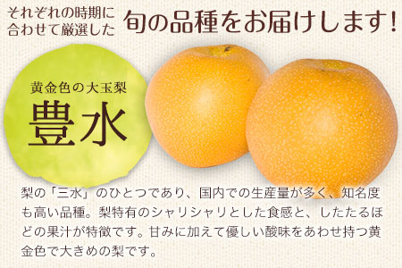 【2025年 先行予約】旬の梨 あきづき 豊水 のいずれかをお届けします！ 約5kg (6～14玉前後) 熊本県荒尾市産 髙口果樹園《2025年9月上旬-9月下旬頃出荷》フルーツ 果物 2024年出荷 美味しい梨 旬の梨 ジューシー梨 フルーツ梨