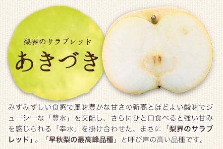 【2025年 先行予約】旬の梨 あきづき 豊水 のいずれかをお届けします！ 約5kg (6～14玉前後) 熊本県荒尾市産 髙口果樹園《2025年9月上旬-9月下旬頃出荷》フルーツ 果物 2024年出荷 美味しい梨 旬の梨 ジューシー梨 フルーツ梨