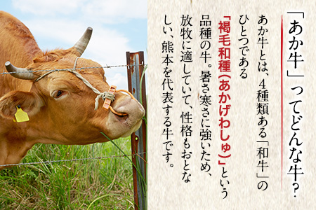 熊本県産和牛 あか牛 ロースステーキ 1000g《30日以内に出荷予定(土日祝除く)》