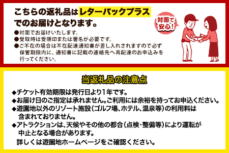 荒尾市 グリーンランド フリーパス ペア招待券 高校生以上《30日以内に