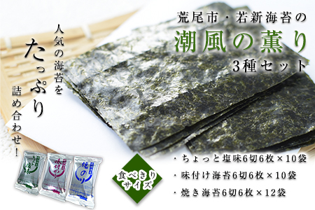 荒尾市・海苔の若新 潮風の薫り 3種セット(ちょっと塩味・味付け海苔・焼き海苔) 有明海産《30日以内に出荷予定(土日祝除く)》 美味しい海苔 有明海産海苔 有明海苔 熊本の海苔
