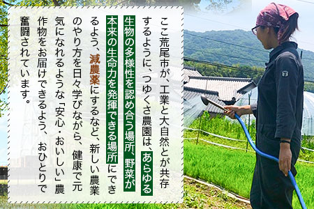 新米 令和6年産 ひのひかり 白米18kg 熊本県荒尾市産 つゆくさ農園 《30日以内に出荷予定(土日祝除く)》 | 熊本県荒尾市 |  ふるさと納税サイト「ふるなび」