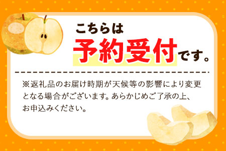 【先行予約】目野果実直売所 荒尾梨 約2-2.5kg(5～10玉前後)  期間限定 熊本県 荒尾市産 なし フルーツ 果物 新鮮 《7月下旬-10月上旬頃出荷》