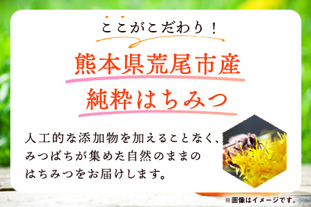 はちみつ 蜂蜜 みかんはちみつ 320g 160g×2本セット《30日以内に出荷予定(土日祝除く)》 ミカン 蜜柑 蜂蜜 熊本県荒尾市産 純粋蜂蜜 木原養蜂園 美味しいみかん 旬のみかん ジューシーみかん フルーツみかん