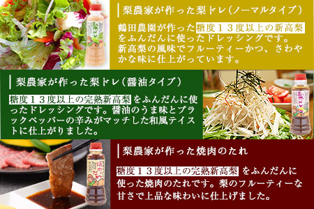 梨ドレッシングと焼肉のタレ6本 鶴田農園《60日以内に出荷予定(土日祝除く)》熊本県 荒尾市産 ドレッシング 焼肉のたれ タレ 梨 果物 フルーツ