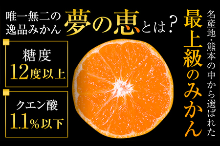 夢の恵 みかん 約2.5kg(20玉～30玉前後) 熊本県産 （荒尾市産含む） 糖度12度以上 ブランドみかん ブランド 贈答用 贈り物《1月中旬-2月中旬頃出荷》 熊本県 荒尾市 美味しいみかん 旬のみかん ジューシーみかん フルーツみかん