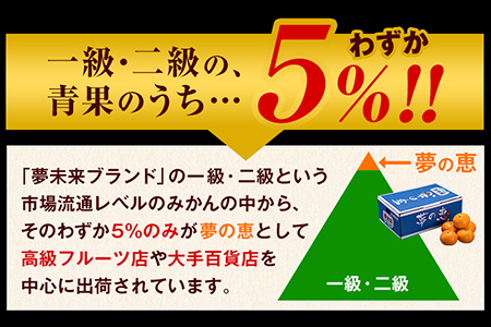 夢の恵 みかん 約2.5kg(20玉～30玉前後) 熊本県産 （荒尾市産含む） 糖度12度以上 ブランドみかん ブランド 贈答用 贈り物《1月中旬-2月中旬頃出荷》 熊本県 荒尾市 美味しいみかん 旬のみかん ジューシーみかん フルーツみかん