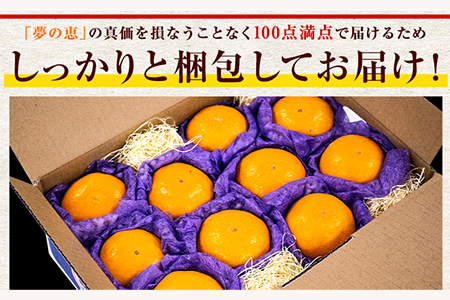 夢の恵 みかん 約2.5kg(20玉～30玉前後) 熊本県産 （荒尾市産含む） 糖度12度以上 ブランドみかん ブランド 贈答用 贈り物《1月中旬-2月中旬頃出荷》 熊本県 荒尾市 美味しいみかん 旬のみかん ジューシーみかん フルーツみかん