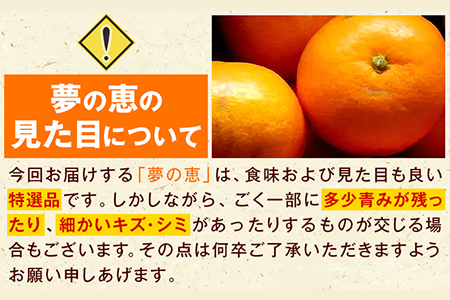 夢の恵 みかん 約2.5kg(20玉～30玉前後) 熊本県産 （荒尾市産含む） 糖度12度以上 ブランドみかん ブランド 贈答用 贈り物《1月中旬-2月中旬頃出荷》 熊本県 荒尾市 美味しいみかん 旬のみかん ジューシーみかん フルーツみかん