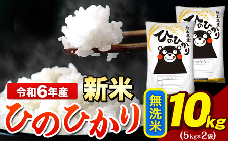 令和6年産 新米 早期先行予約受付中 ひのひかり 無洗米 10kg 《11月-12月より出荷予定》  5kg×2袋 熊本県産（荒尾市産含む） 米 精米 ひの