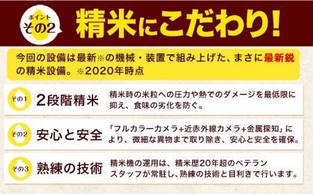 令和6年産 新米 早期先行予約受付中 ひのひかり 無洗米 10kg 《11月-12月より出荷予定》  5kg×2袋 熊本県産（荒尾市産含む） 米 精米 ひの