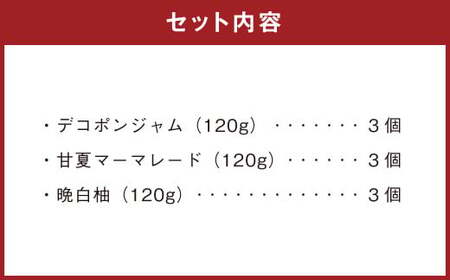 熊本みかんのジャムセット 3種類 各3個 合計9個 ジャム 果物 フルーツ 3種類 デコポン 甘夏 晩白柚