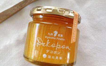 熊本みかんのジャムセット 3種類 各3個 合計9個 ジャム 果物 フルーツ 3種類 デコポン 甘夏 晩白柚
