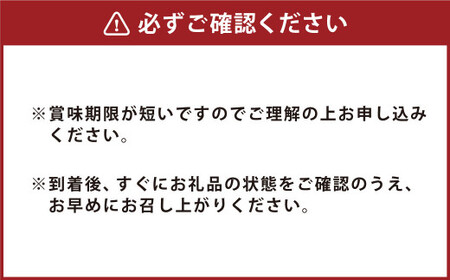からし蓮根 3本入り セット 熊本名物 郷土料理 おつまみ