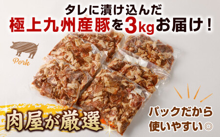【隔月3回定期便】 九州産豚 タレ漬け 合計3kg 500g×6袋×3回
