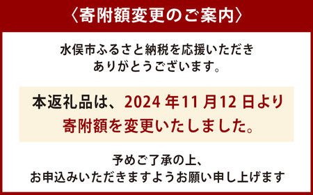 水俣 サラダ玉ねぎ 10kg 野菜 タマネギ サラダ 天ぷら 【2025年4月下旬～5月下旬発送】