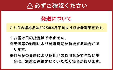 水俣 サラダ玉ねぎ 10kg 野菜 タマネギ サラダ 天ぷら 【2025年4月下旬～5月下旬発送】