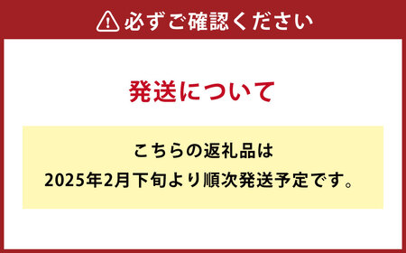 甘夏みかん 8kg みかん オレンジ 柑橘【2025年2月下旬～4月下旬発送】