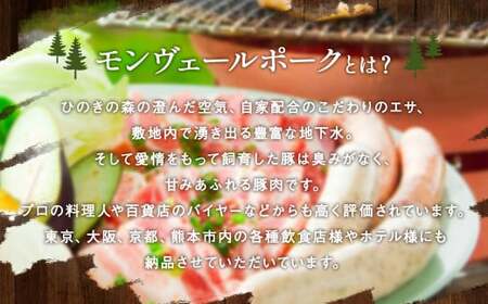 熊本県産モンヴェールポーク こま切れ 2kg(250g×8P) 豚肉