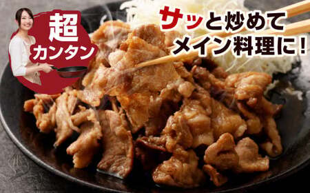 【隔月3回定期便】 九州産豚 タレ漬け 合計2kg 500g×4袋 ×3回 総計6kg 豚肉 小間切れ コマ切れ 肉 タレ 冷凍 豚 小分け 簡単調理 定期便 隔月 3回 国産 九州産 熊本県 水俣市