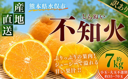 訳あり不知火 約7kg しらぬい 柑橘 果物 フルーツ 【2025年1月下旬から2025年4月下旬発送予定】