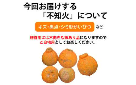 訳あり不知火 約7kg しらぬい 柑橘 果物 フルーツ 【2025年1月下旬から2025年4月下旬発送予定】